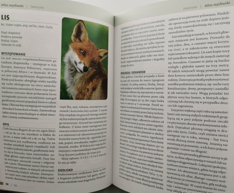 ATLAS MYŚLIWSKI - Piotr Gawin