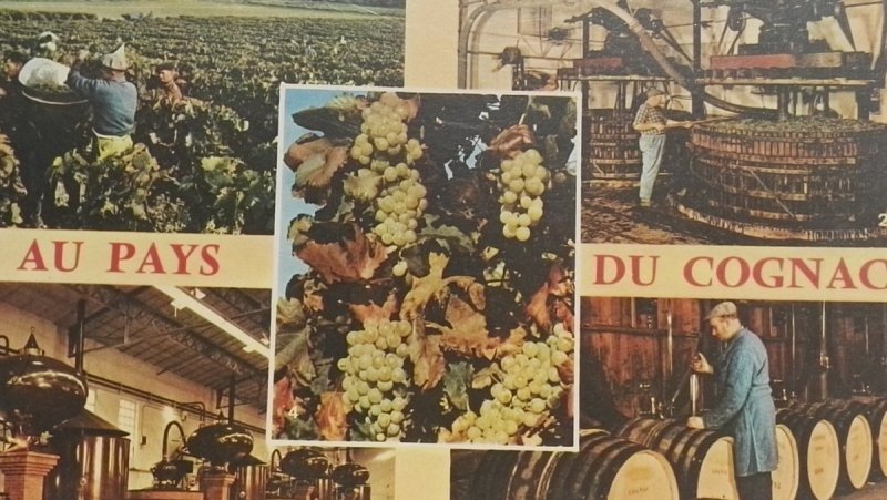 AU PAYS DU COGNAC 