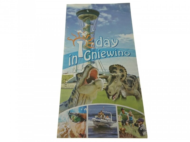 1 DAY IN GNIEWINO (2013)