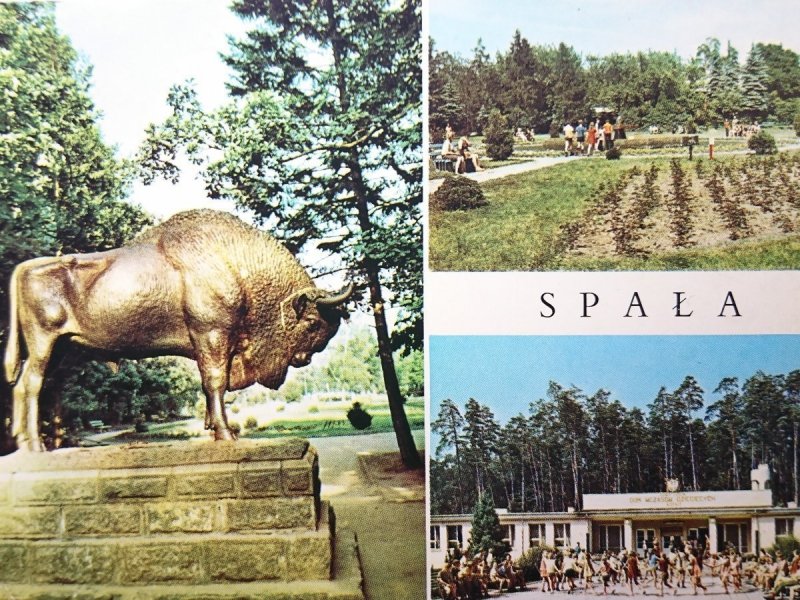 SPAŁA. ŻUBR - RZEŹBA W PARKU. PARK; DOM WCZASÓW