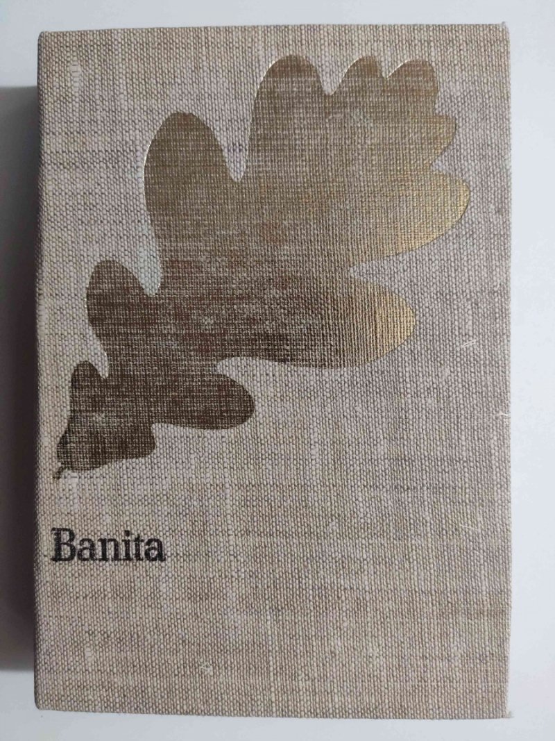 BANITA - Józef I. Kraszewski