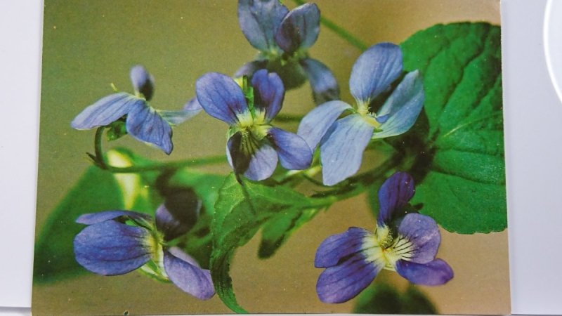 FOT. M. MAKOWSKA I D. SPRUDIN