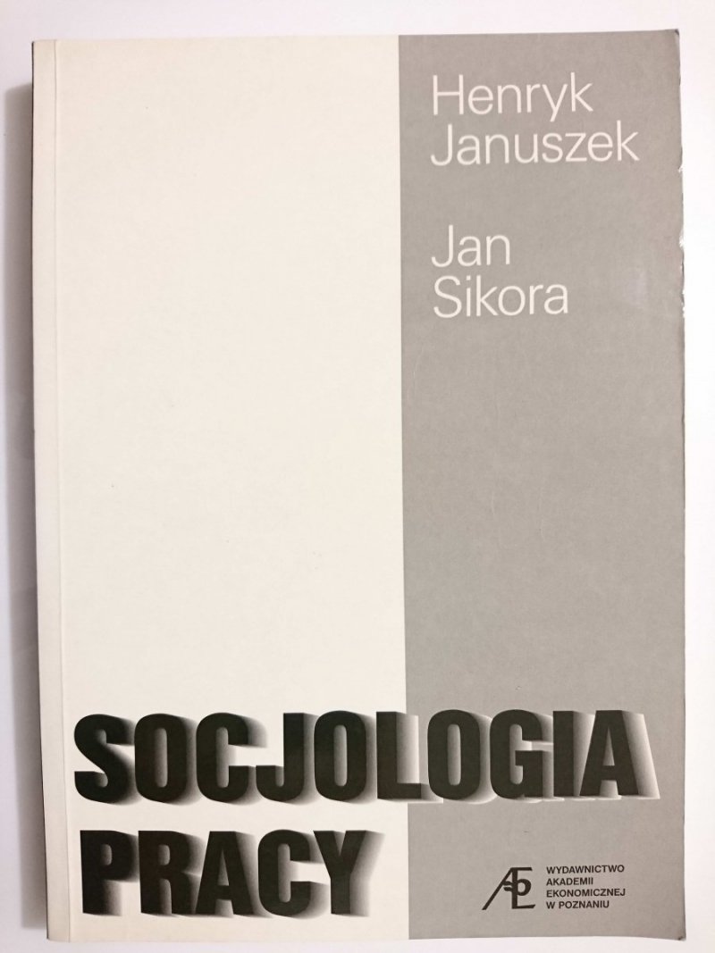 SOCJOLOGIA PRACY - Henryk Januszek 2000