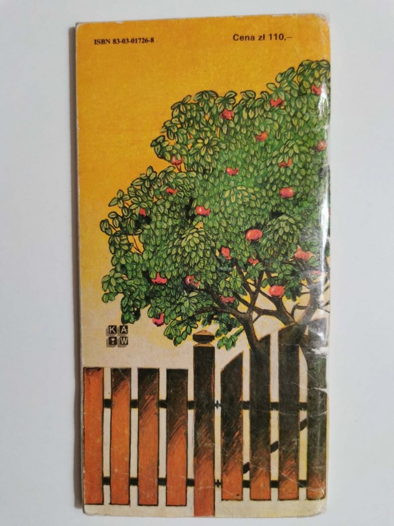 BAJECZNY OGRÓD - Andrzej Grzyb 1987