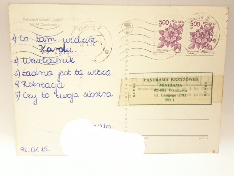 OWCZAREK SZKOCKI COLIE FOT. M. CZUDOWSKI