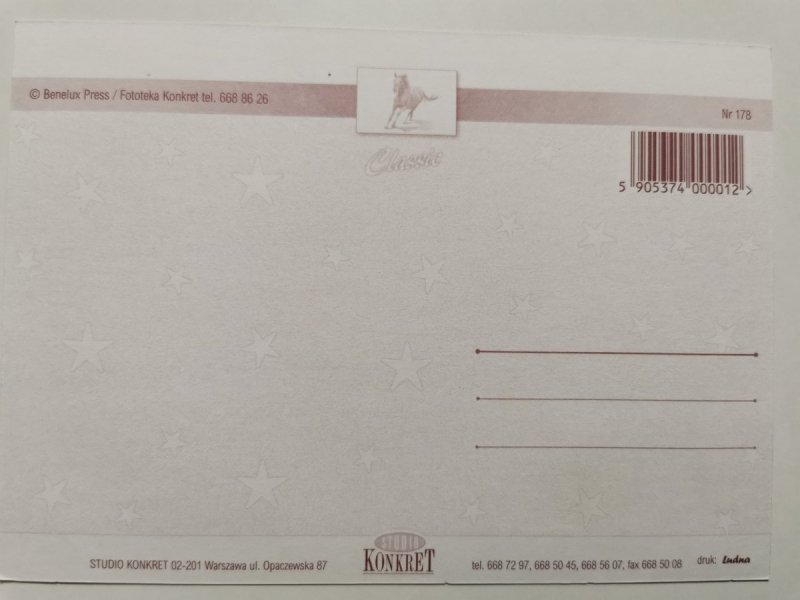 CZTERY KONIE NA WYBIEGU, W TLE GÓRY