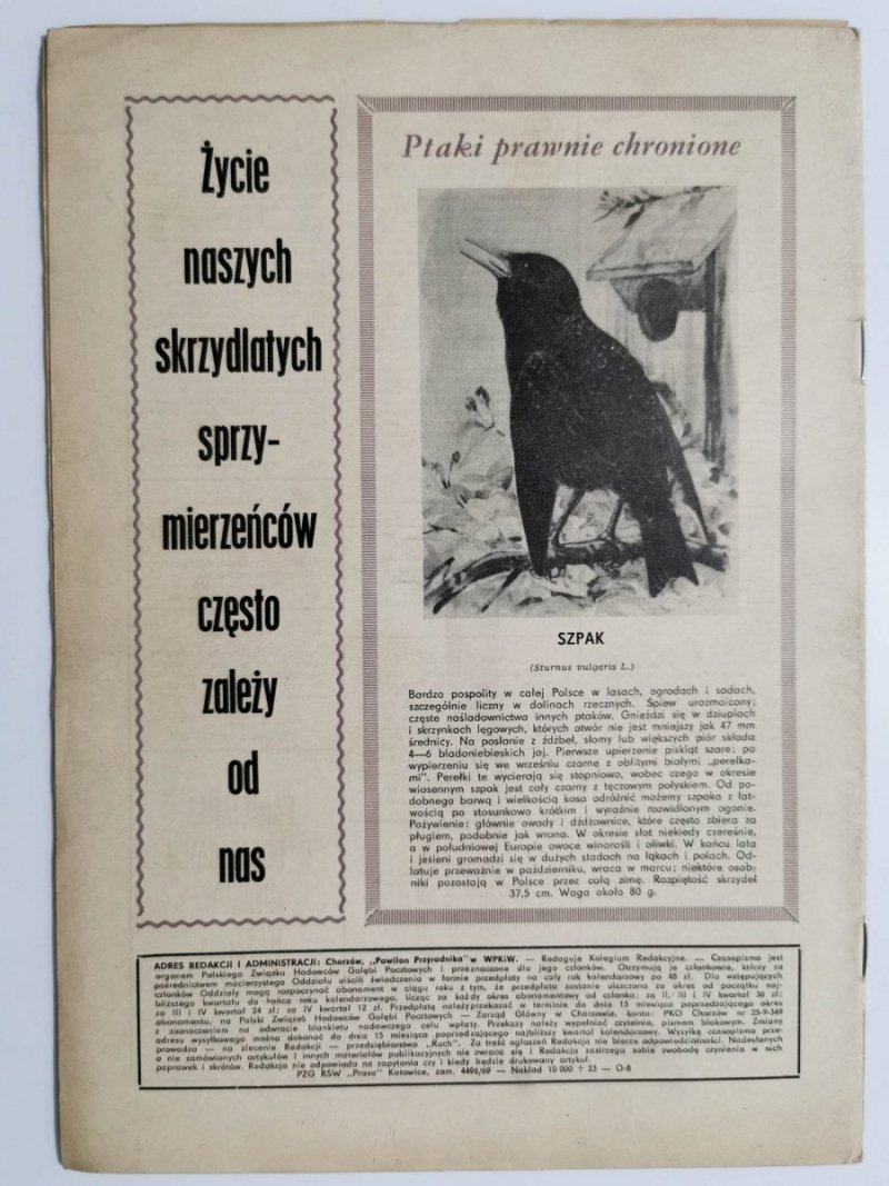 HODOWCA GOŁĘBI POCZTOWYCH NR 1 1970