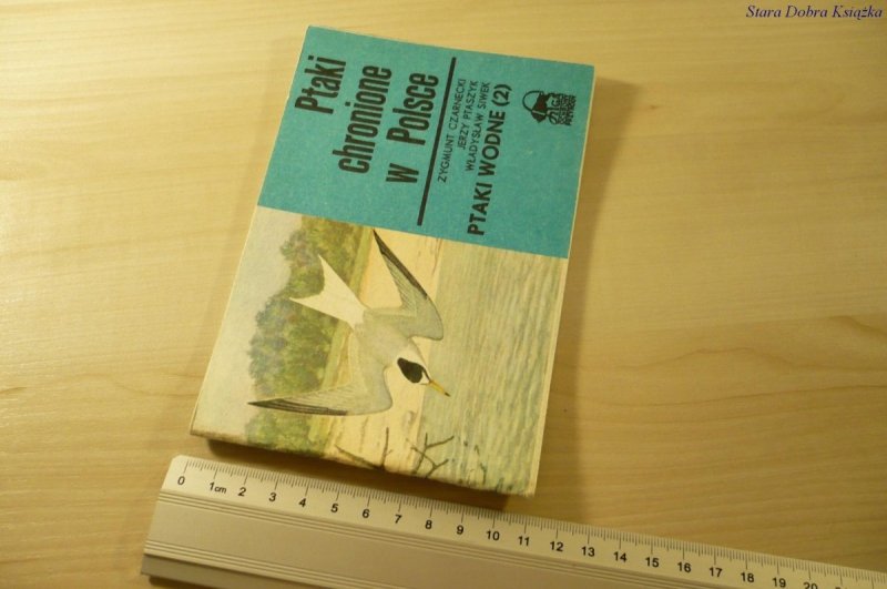 PTAKI CHRONIONE W POLSCE. PTAKI WODNE (2) (1983)