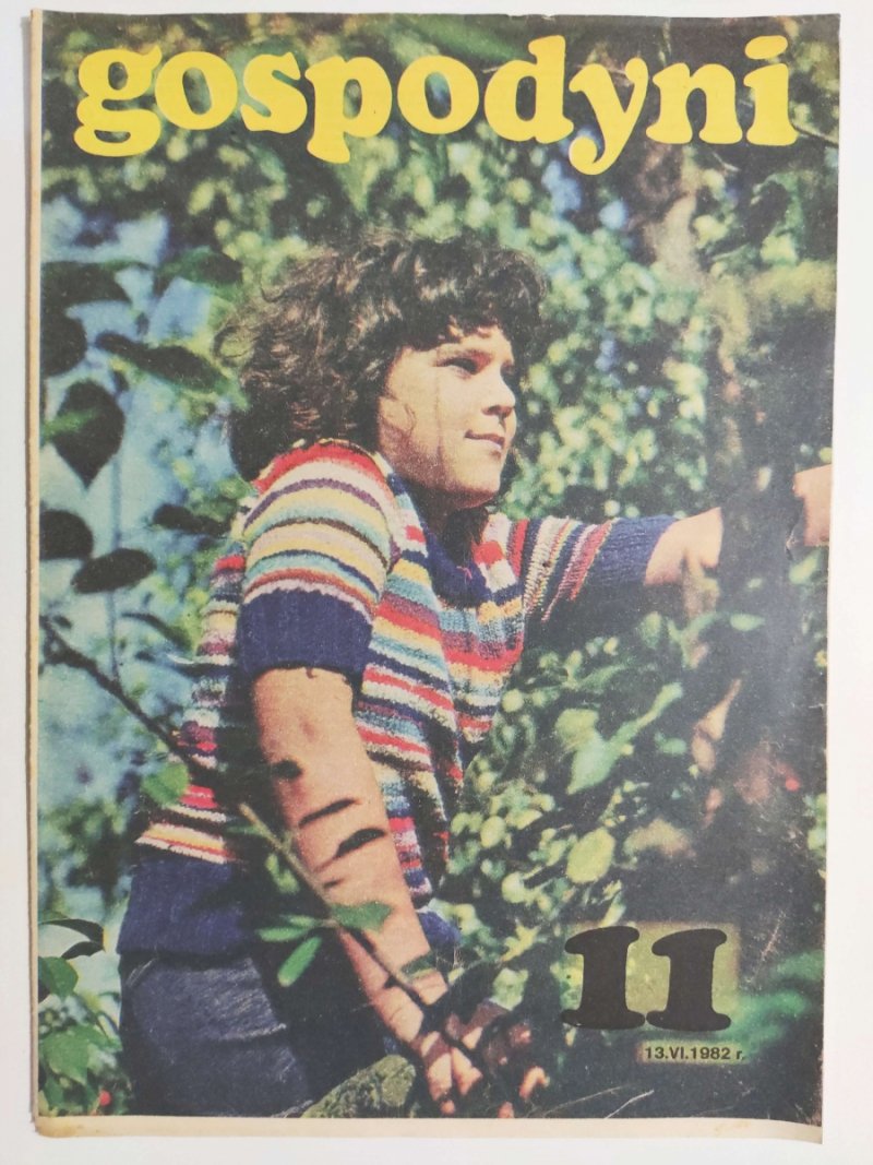 GOSPODYNI 11/1982