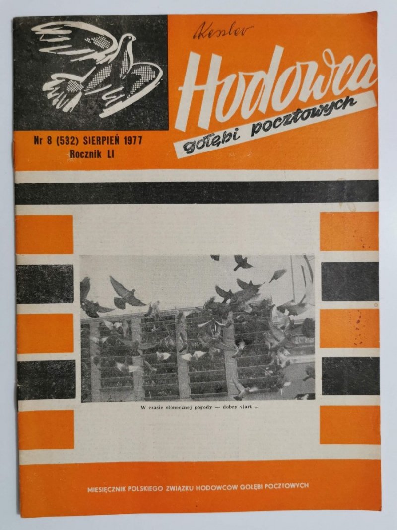 HODOWCA GOŁĘBI POCZTOWYCH NR 8 1977