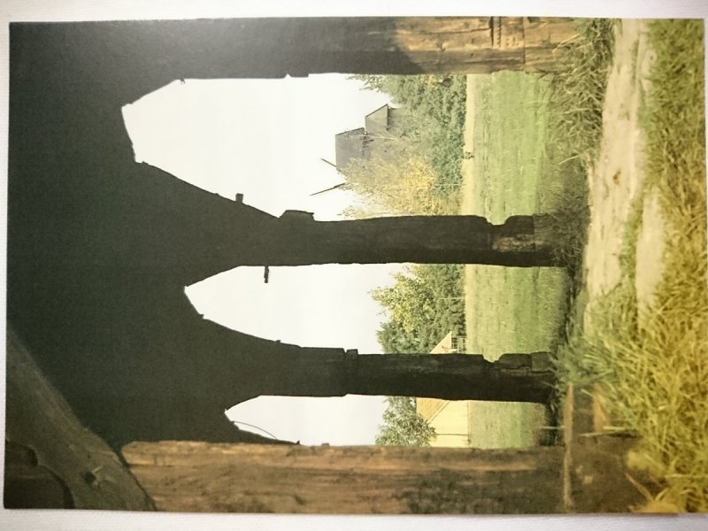 WIELKOPOLSKI PARK ETNOGRAFICZNY W DZIEKANOWICACH. FRAGMENT OSIEMNASTOWIECZNEGO PODCIENIA. WIDOK NA GRUPĘ WIATRAKÓW
