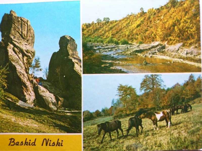 BESKID NISKI. REZERWAT SKALNY... FOT. RACZKOWSKI