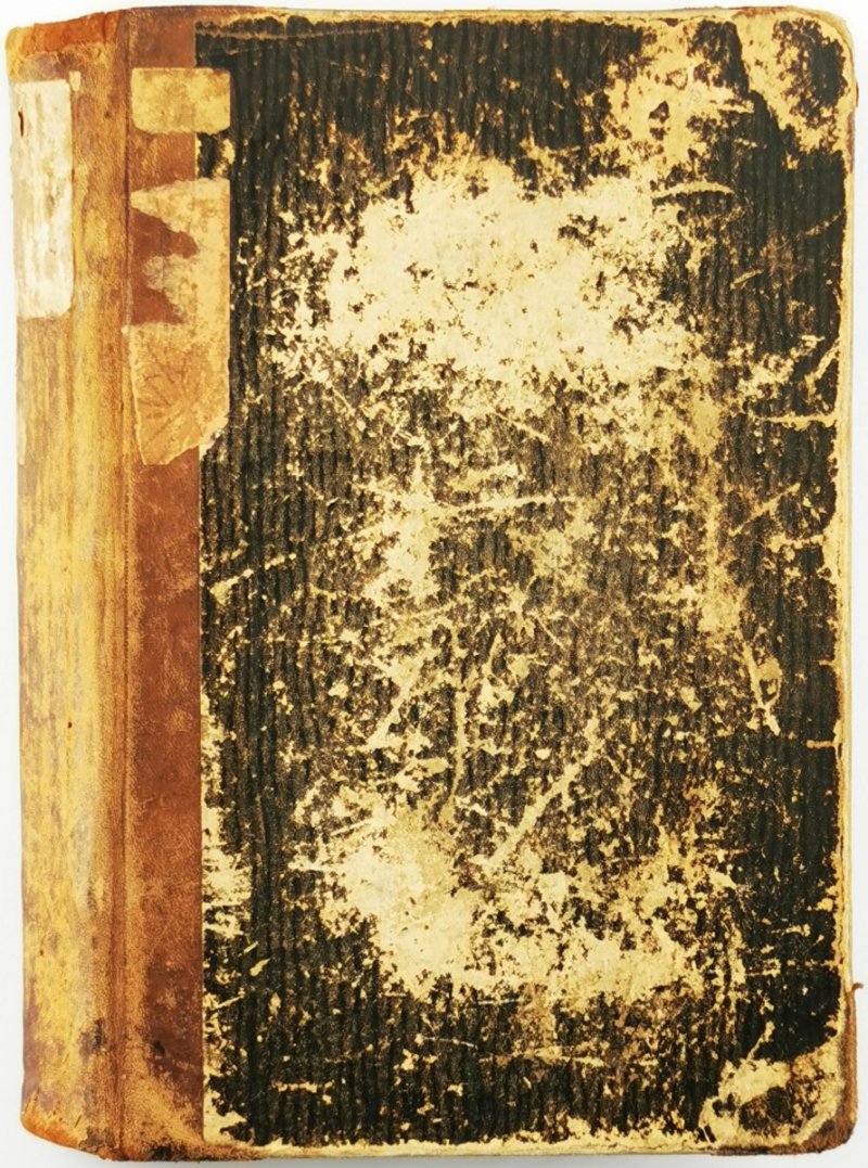 DAS NEST DER ZAUNKONIGE - Gustaw Freytag