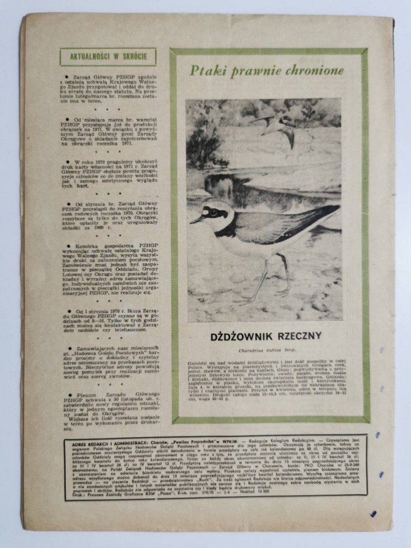 HODOWCA GOŁĘBI POCZTOWYCH NR 13 1970