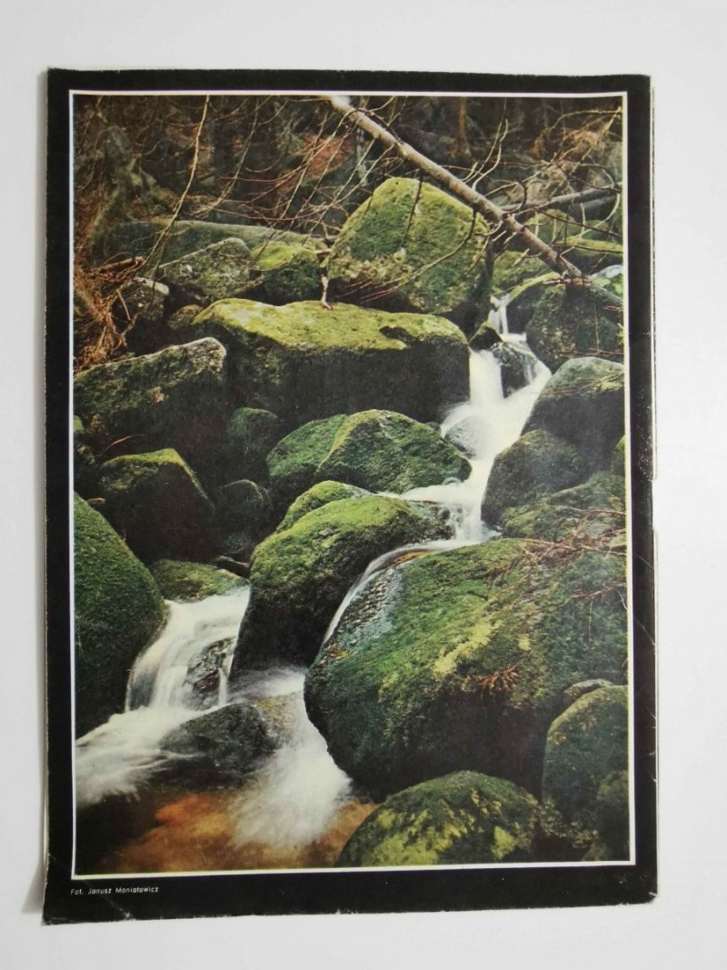 FOTO NR 5 1984 MAGAZYN FOTOGRAFICZNY 