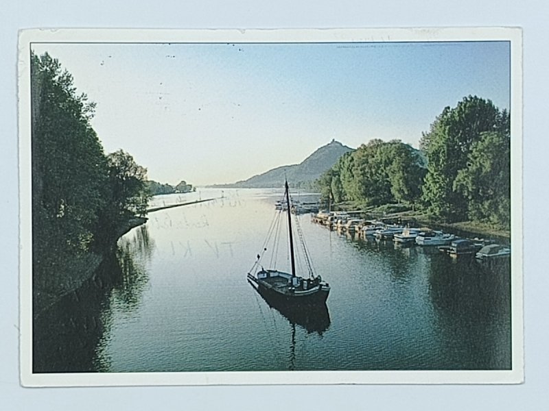 AALSCHOKKER ARANKA VON BAD HONNEF