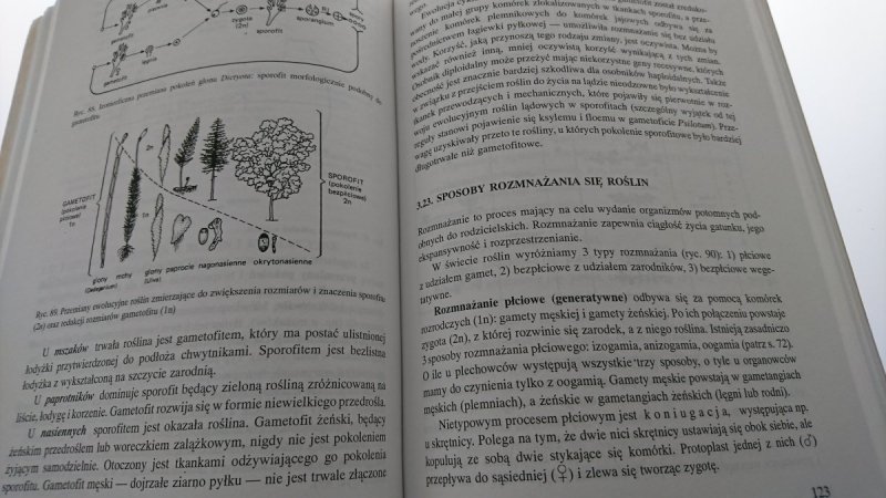 VADEMECUM MATURZYSTY. BIOLOGIA Pyłka-Gutowska 1996