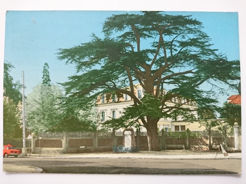 GAGNY. LE CEDRE