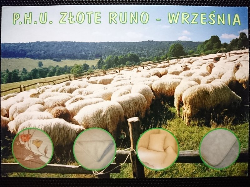 P.H.U. ZŁOTE RUNO – WRZEŚNIA