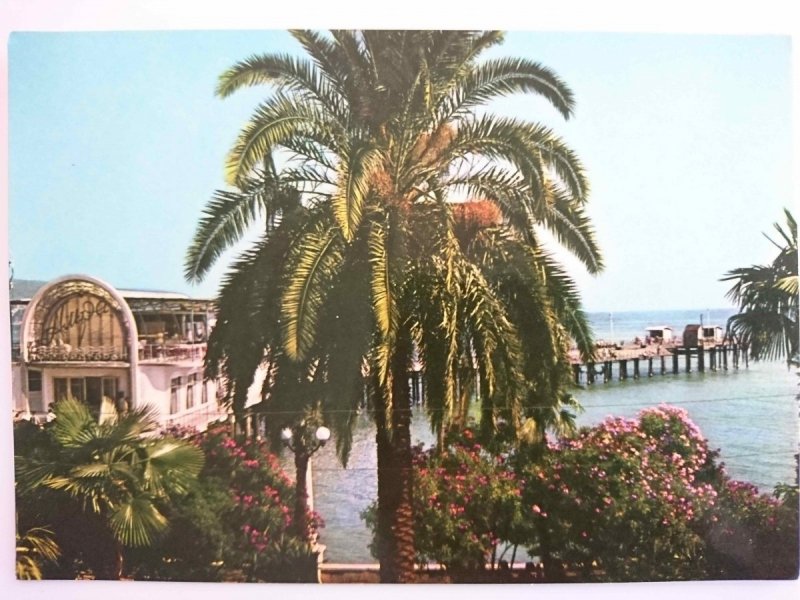 SUKHUMI. ON THE EMBANKMENT