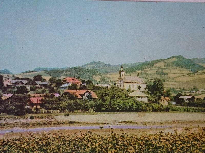 PIWNICZNA. WIDOK OGÓLNY FOT. K. KACZYŃSKI