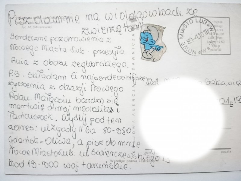 STADNINA KONI JANÓW PODLASKI FOT. OTŁUSZEWSKI