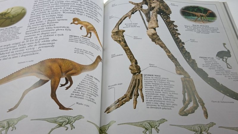 PATRZĘ PODZIWIAM POZNAJĘ DINOZAURY - Norman 1994