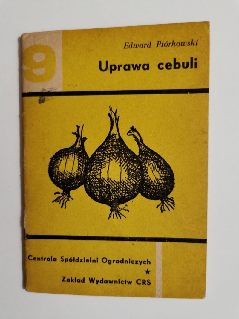 UPRAWA CEBULI - Edward Piórkowski 1965