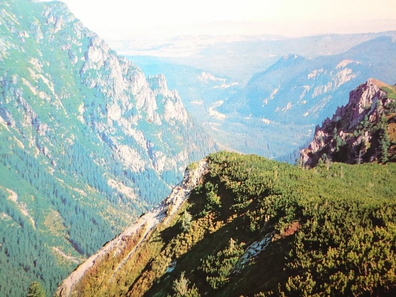 TATRY WYSOKIE. WOŁOSZYN; DOLINA ROZTOKI I OPALONE