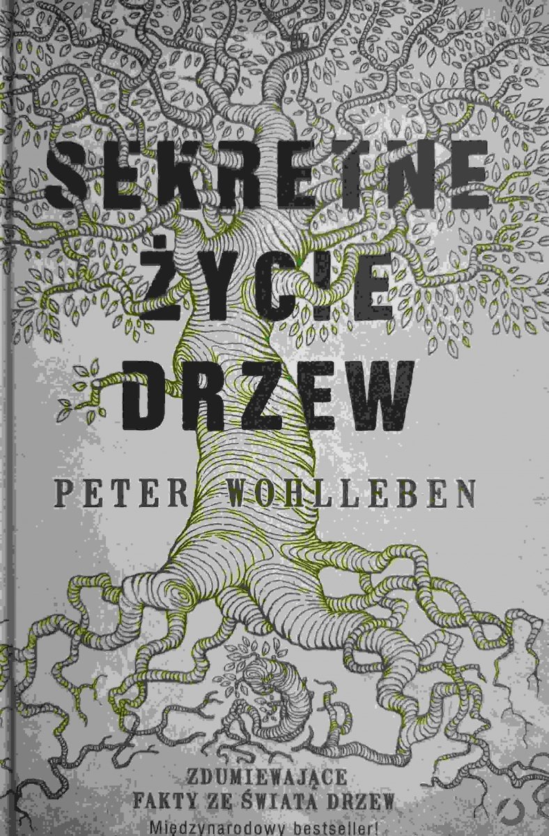 SEKRETNE ŻYCIE DRZEW - Peter Wohllebben
