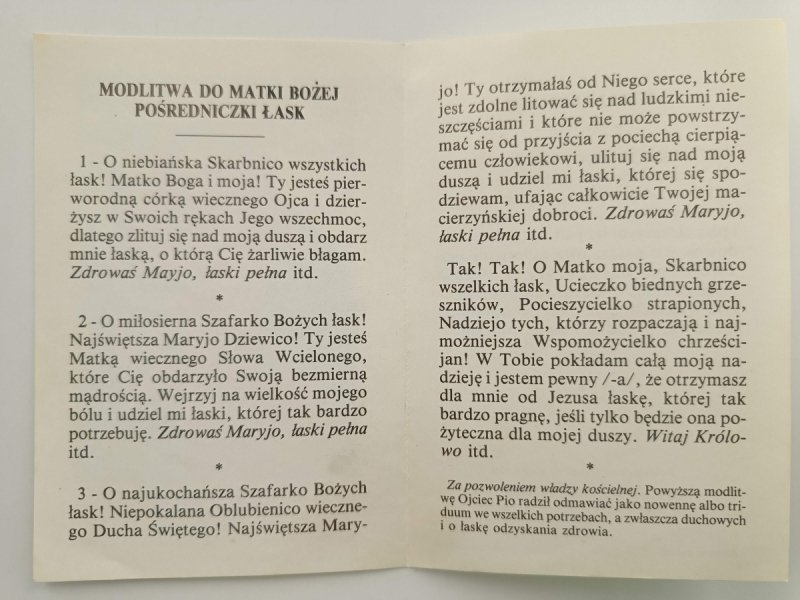 OBRAZ MATKI BOŻEJ POŚREDNICZKI ŁASK