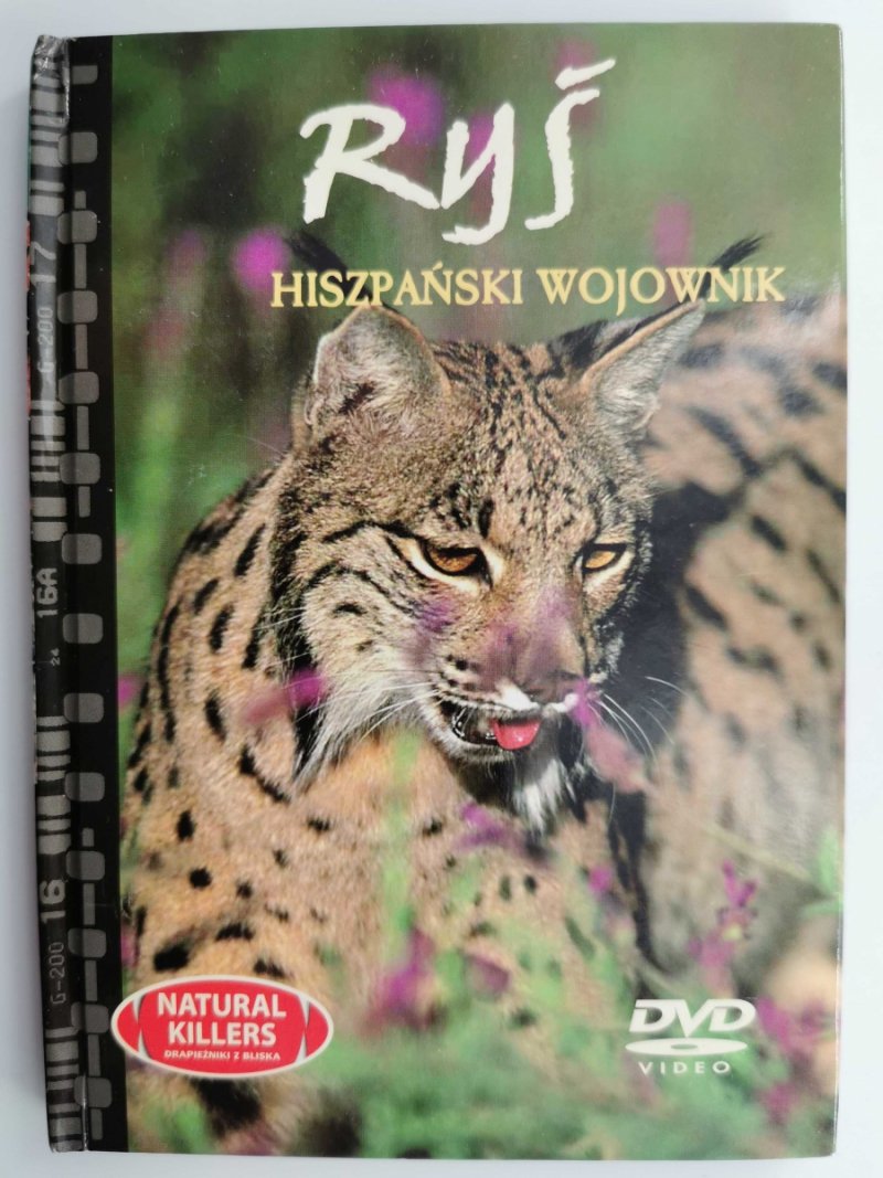 DVD. NATURAL KILLERS TOM 8. RYŚ HISZPAŃSKI WOJOWNIK