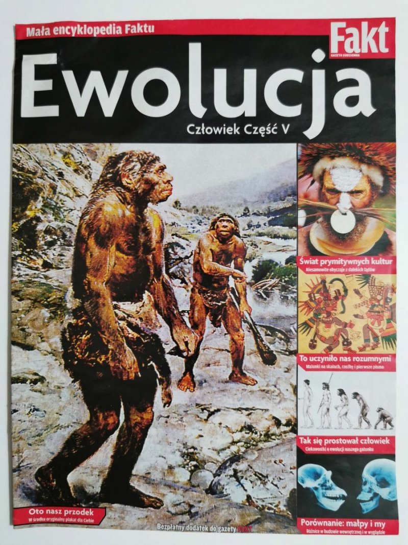 EWOLUCJA CZŁOWIEK CZĘŚĆ V 