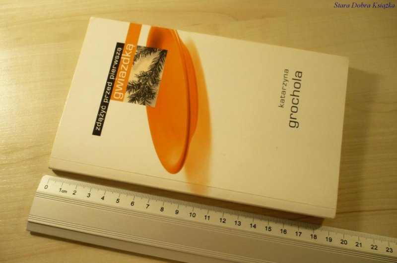 ZDĄŻYĆ PRZED PIERWSZĄ GWIAZDKĄ - Grochola (2002)
