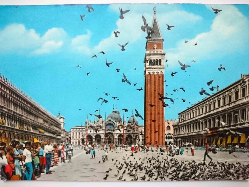 VENEZIA. PIAZZA S. MARCO – PICCIONATA