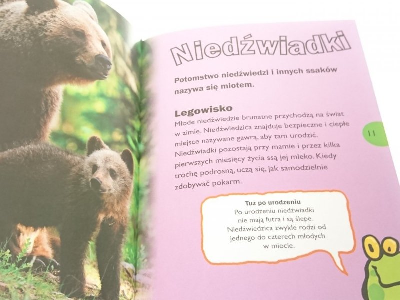 ZDUMIEWAJĄCY ŚWIAT. NIEDŹWIEDZIE 2014