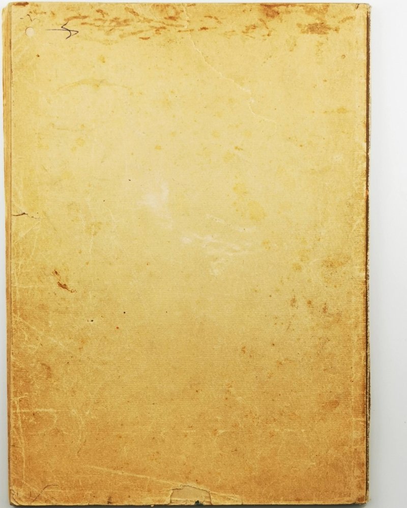 49 PIEŚNI I ARYI Z OPER NA FORTEPIANIE Z PODŁOZONYM TEKSTEM - Stefan Barański