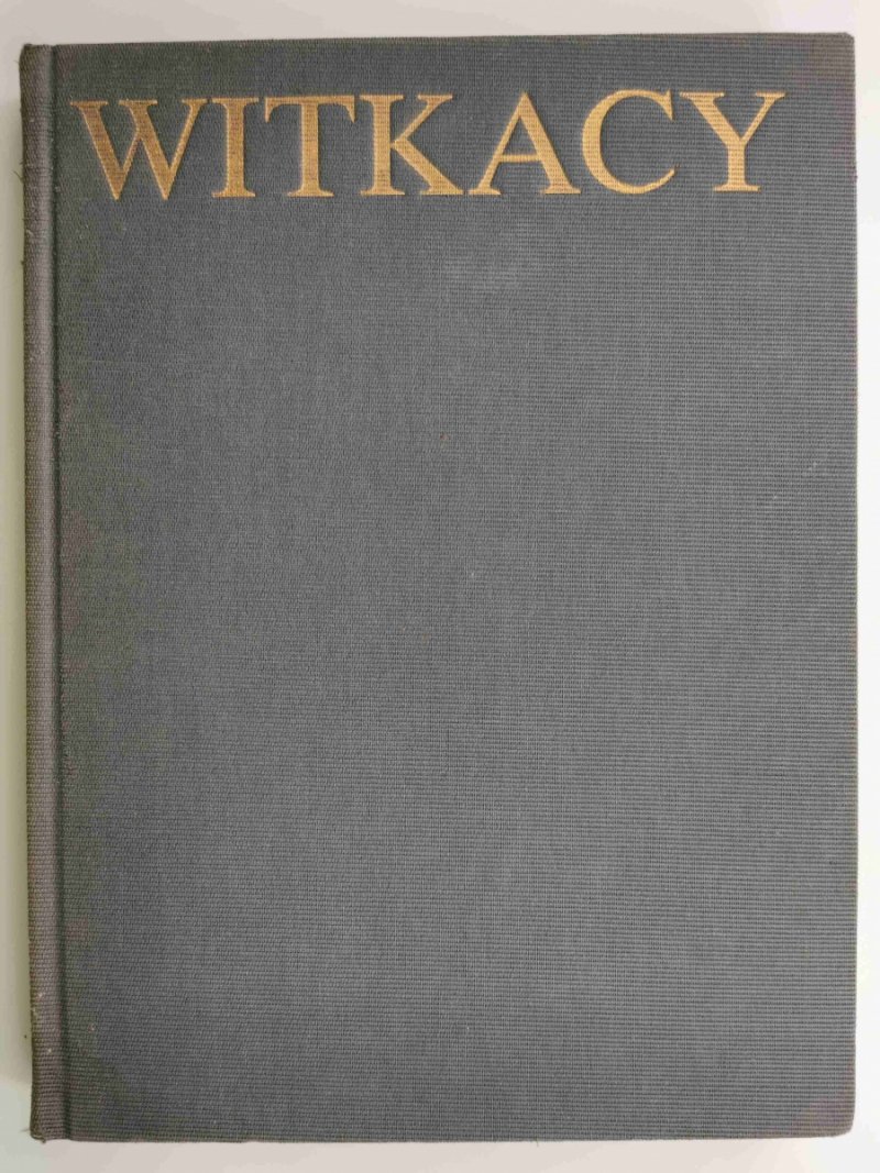 STANISŁAW IGNACY WITKIEWICZ. ŻYCIE I TWÓRCZOŚĆ - Anna Micińska
