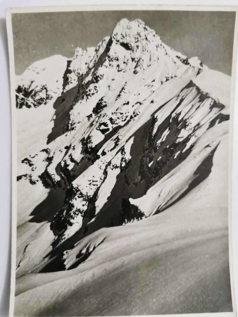 TATRY – ŚWINICA Z BESKIDU FOT. ZWOLIŃSKI