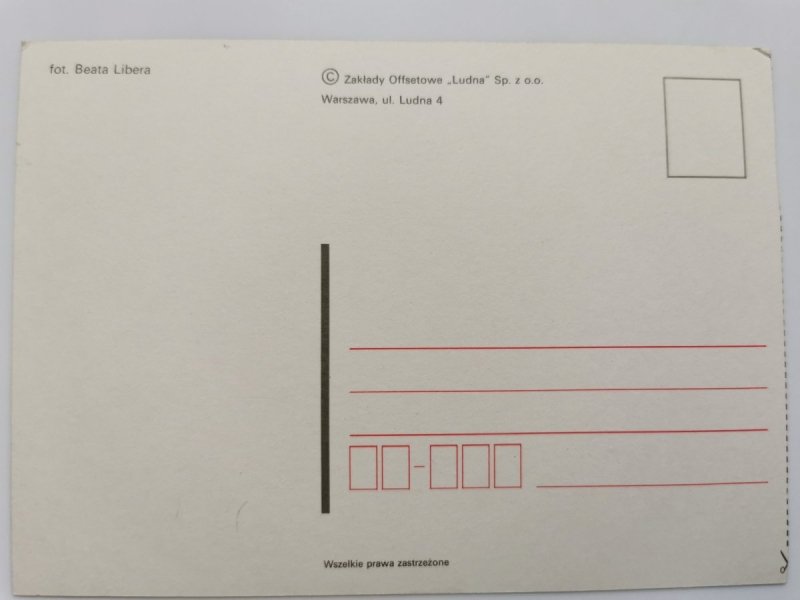 GŁOWA BRĄZOWEGO KONIA FOT. LIBERA