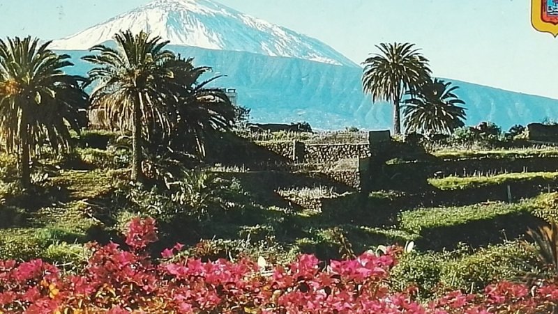 TENERIFE. LA VICTORIA