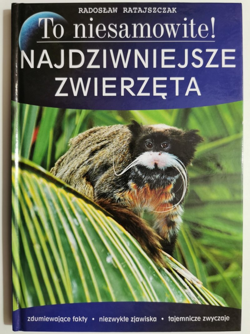 TO NIESAMOWITE! NAJDZIWNIEJSZE ZWIERZĘTA - Radosław Ratajszczak