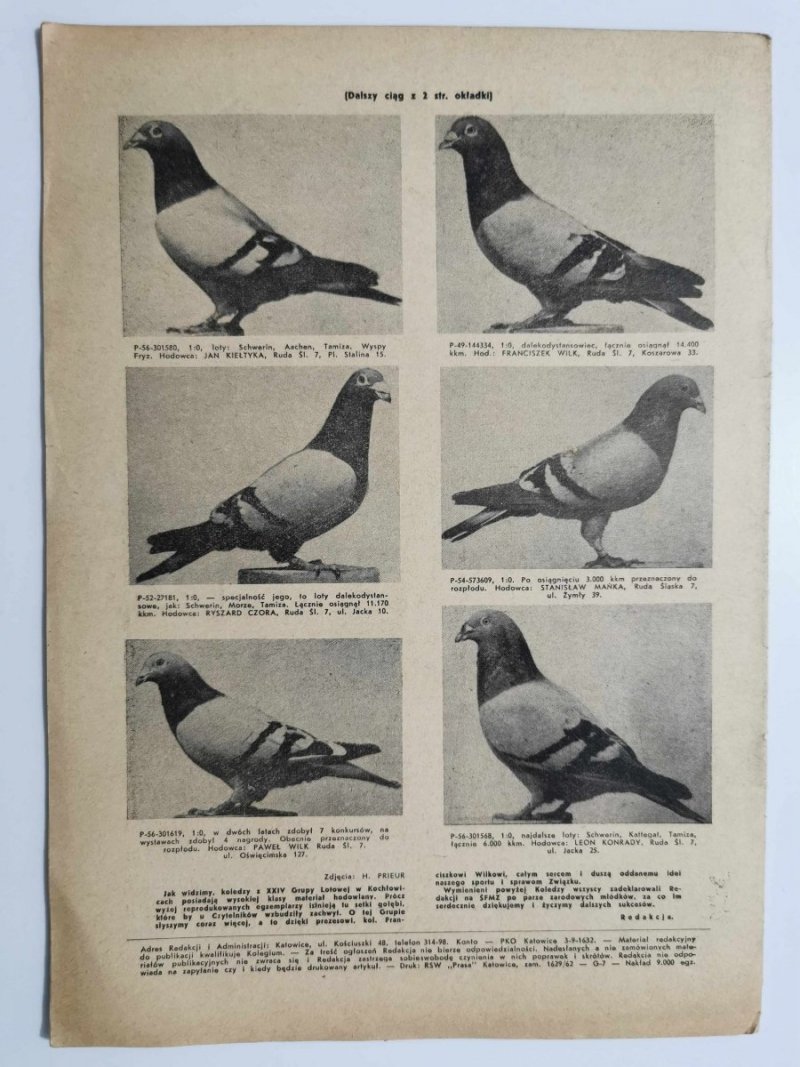 HODOWCA GOŁĘBI POCZTOWYCH NR 5 1962