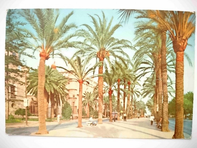 PALMA. PASEO DE SAGRERA Y LONJA
