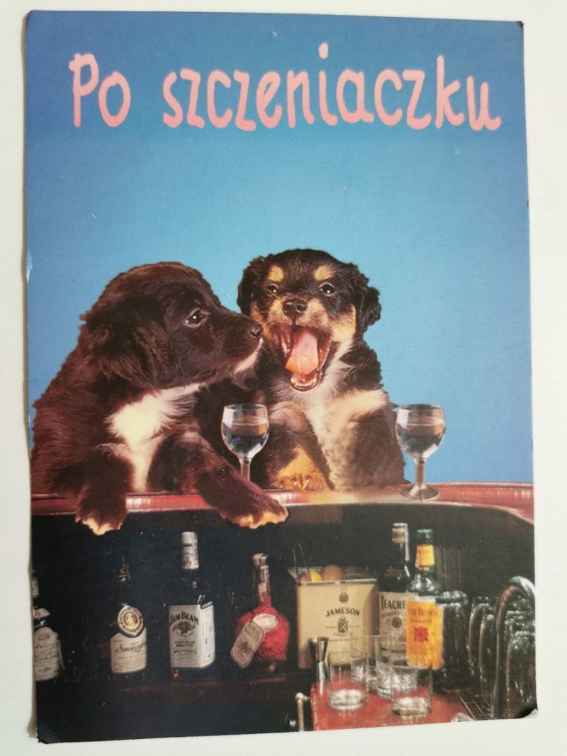 PO SZCZENIACZKU