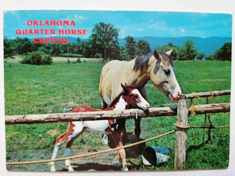 OKLAHOMA QUARTER HORSE CAPITOL
