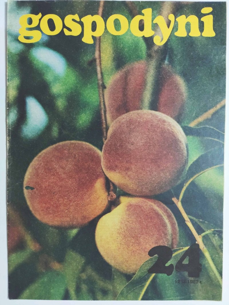 GOSPODYNI 24/1982