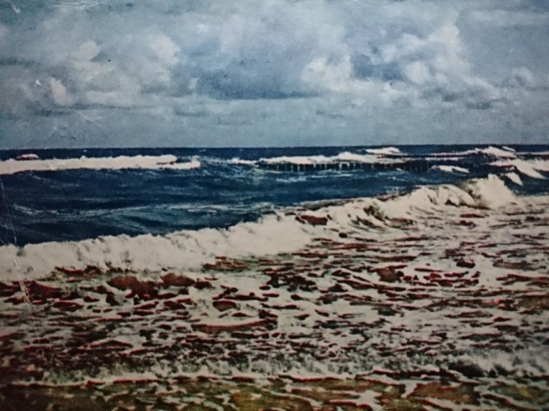BAŁTYK FOT. T. HERMAŃCZYK