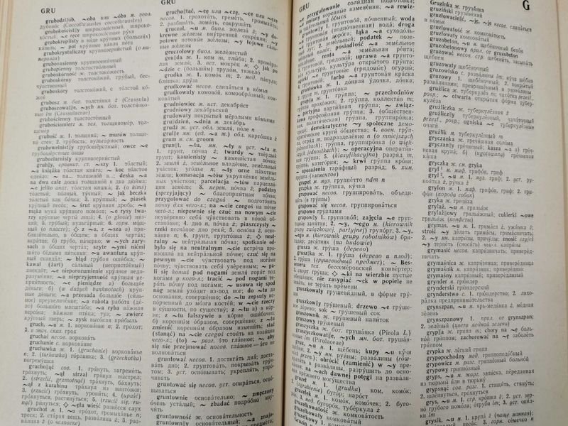 Wielki słownik Polsko-Rosyjski Tom I A-Ó