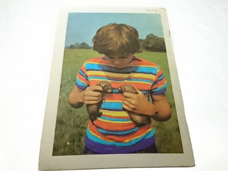 BYŁY SOBIE TCHÓRZE TRZY... Władysław Strojny 1981
